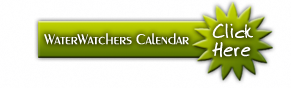 Rivers Coalition Calendar